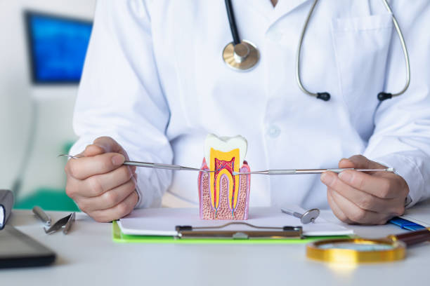 Best Emergency Dental Care for Abscessed Tooth in East Quincy, CA